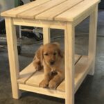 Golden Retriever Puppy on an ash Adirondack table.